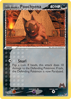 Team Magma's Poochyena
