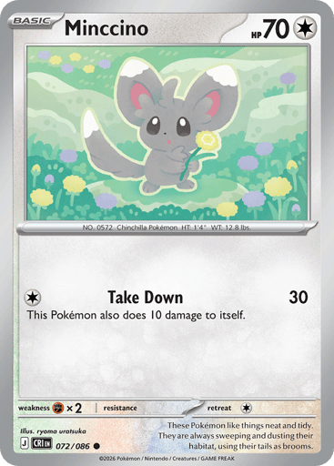 Minccino